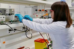Laboratório i3S