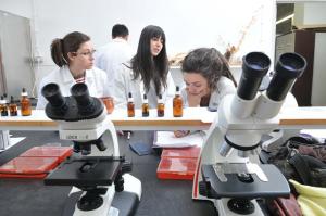 Laboratório, investigadores