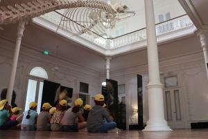 Esqueleto baleia da Galeria da Biodiversidade