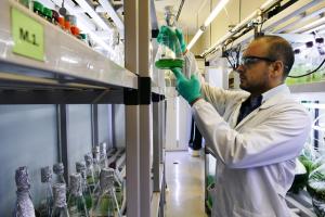 Colaborador em laboratório do CiiMAR
