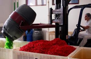 Linha de produção da empresa Douromel